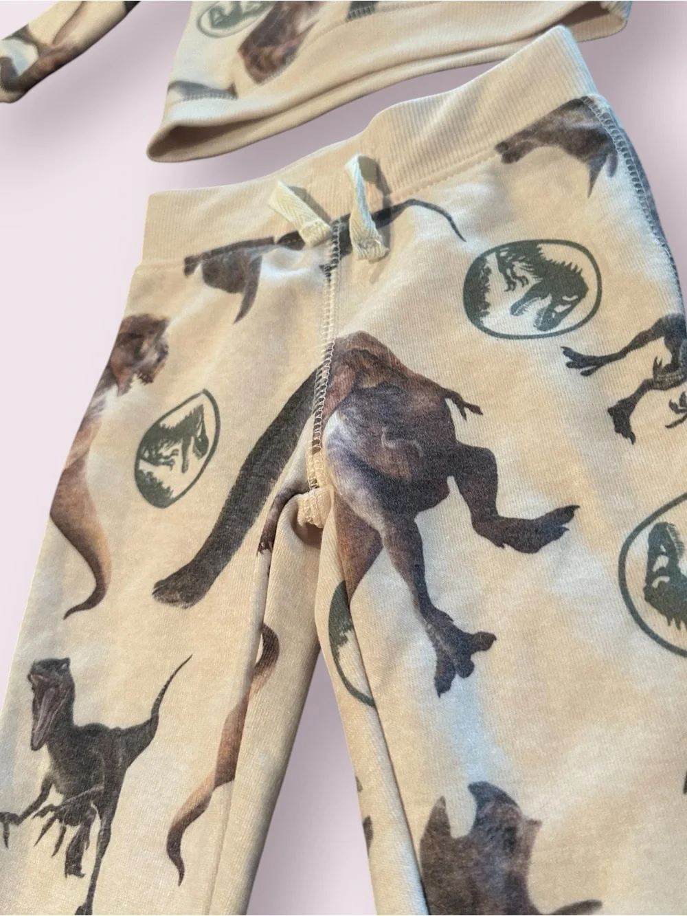 Toddler Boy Jurassic World All Over Dinosaur Print Hoodie And Pants Sz 12 Mon